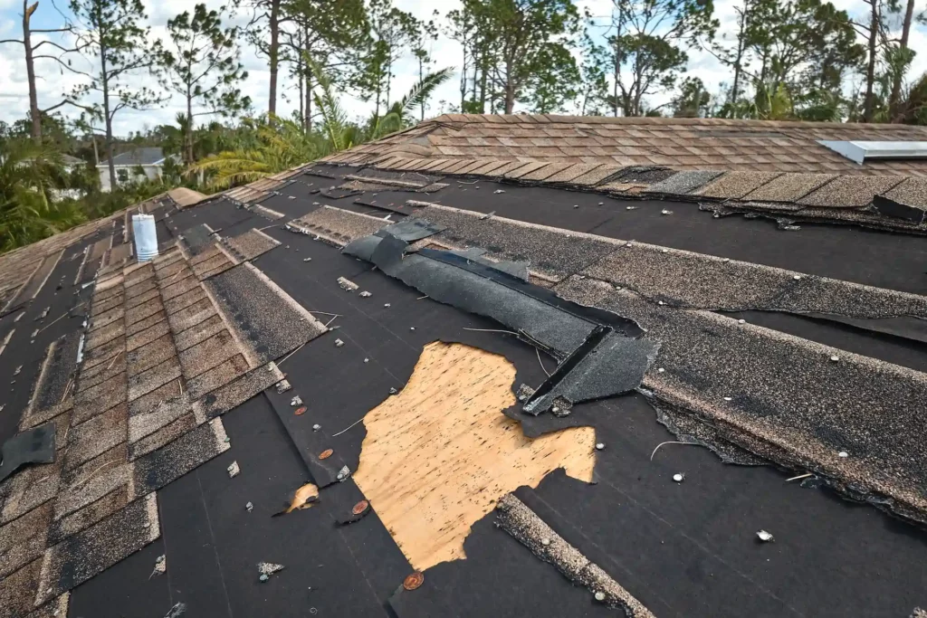 how to spot roof damage in memphis after a summer storm